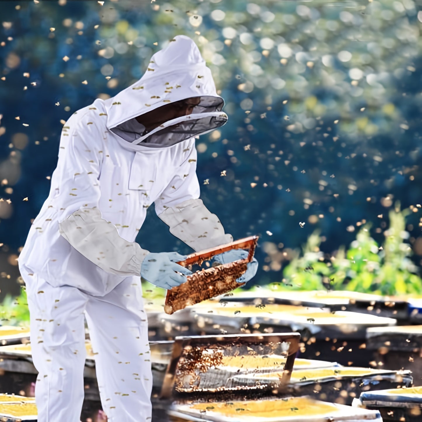 Premium Beekeeper Suit: Safety and Comfort