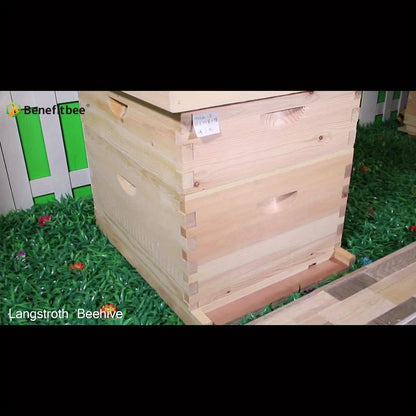 Starter Kit: Complete 10-Frame Langstroth Beehive