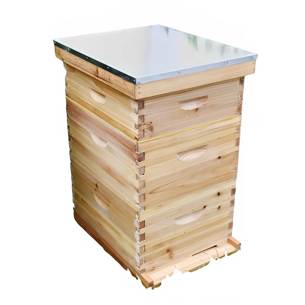 678123b9-c063-4cee-91da-6fbbeb573054