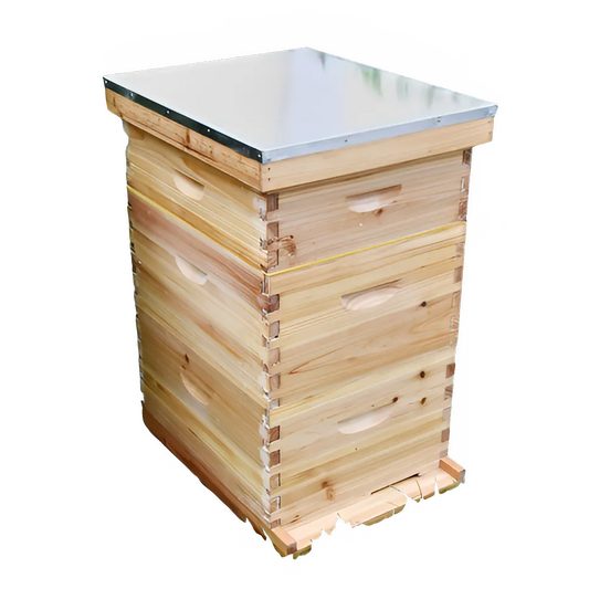 678123b9-c063-4cee-91da-6fbbeb573054