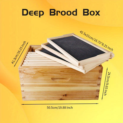 Starter Kit: Complete 10-Frame Langstroth Beehive