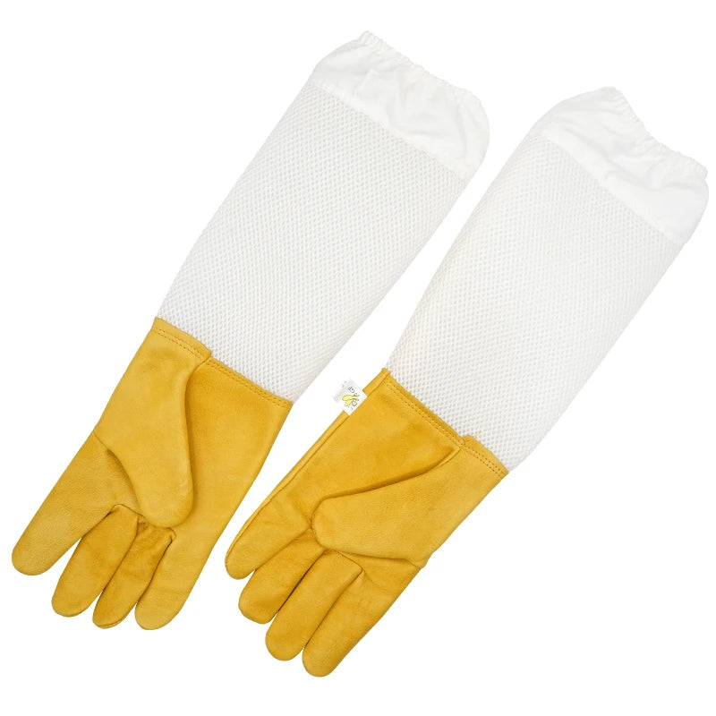 S338a39e6e54c4b5183cd9382e67779bch