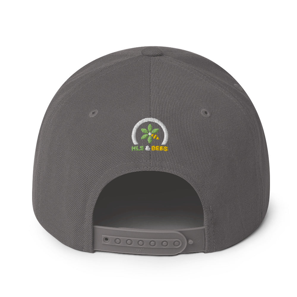 Beekeeper's Snapback Hat